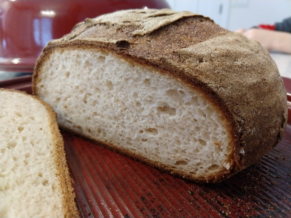 Artisan Style Gluten Free Bread Online Arva Flour Mill