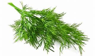 Dill Seed 100g