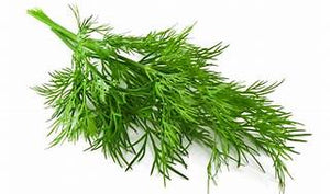 Dill Seed 100g