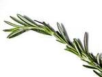 Rosemary Leaves 70g