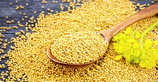 Mustard Seed 105g